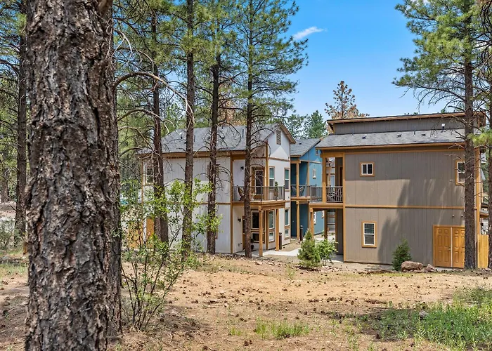 Elegant New Construction With Scenic Forest Views Holiday home *
