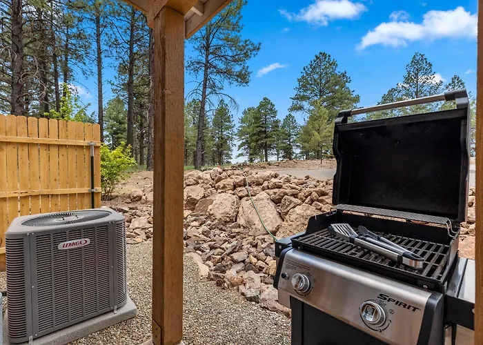 Elegant New Construction With Scenic Forest Views *
